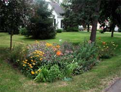Rain Garden outside of house