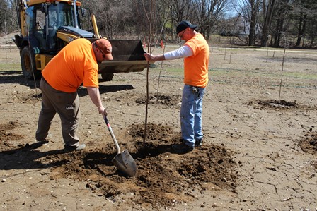 Two Men in Orange Planting Trees
