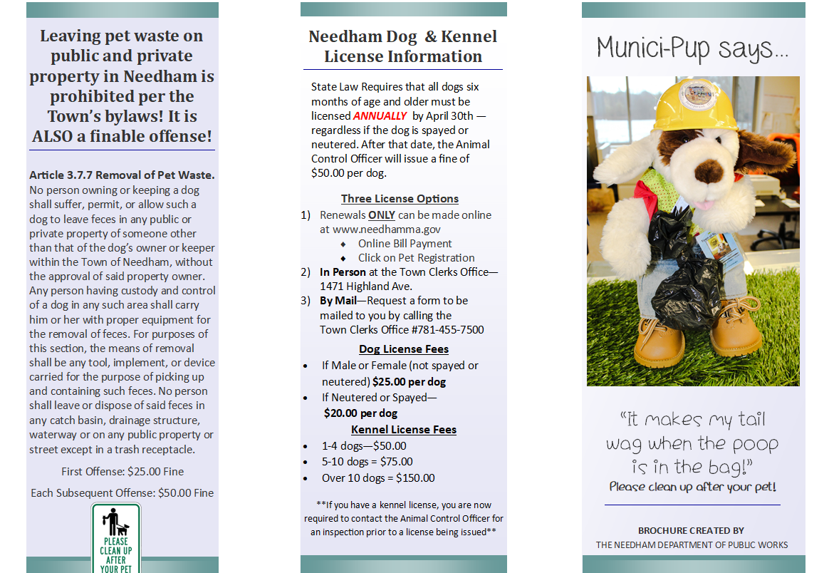Safe Pet Waste Disposal Brochure Opens in new window