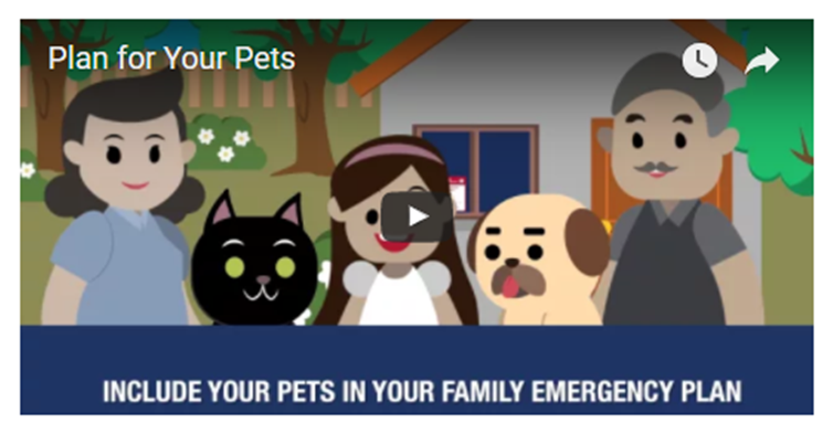 Plan for Your Pets Opens in new window