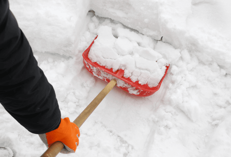 Untitled design (44)