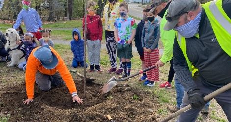 Public Works Planting