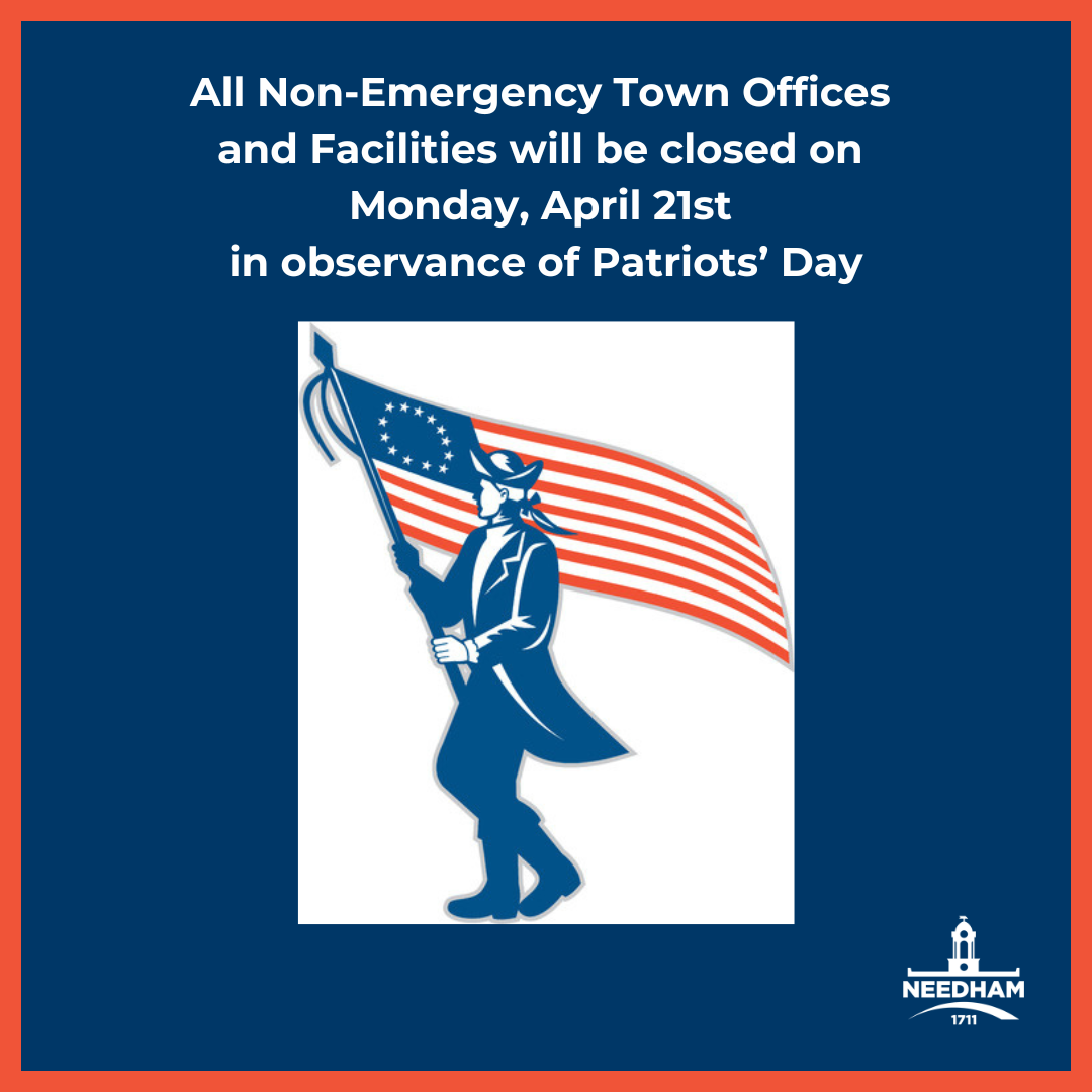 an image of a patriot holding a flag