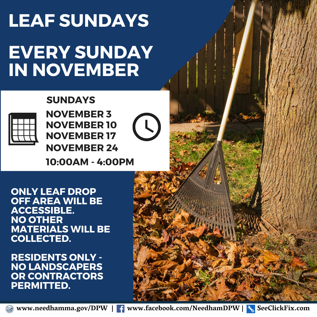 Leaf Sundays - 1